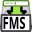 FMS 11